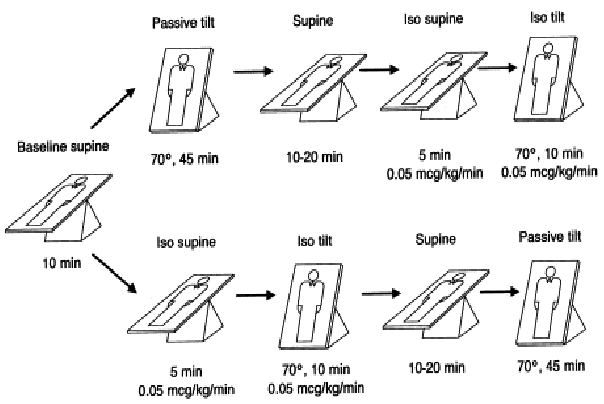 Tilt Table Testing - Heart and Blood Vessel Disorders - Merck Manuals  Consumer Version